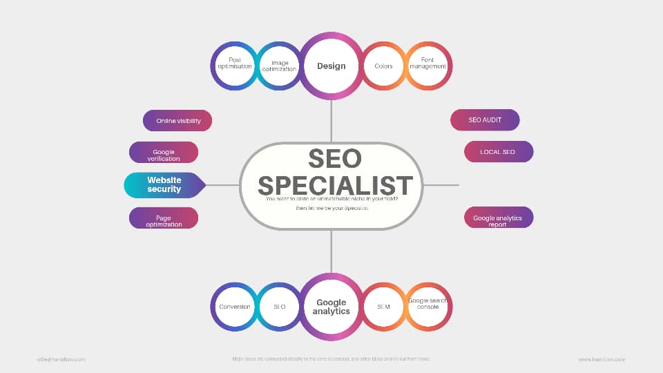 search Engine Optimization specialist