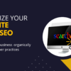 I will help Optimize your Website with SEO
